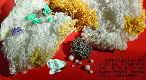 Dharma King Gar Tongstan IV-图片4