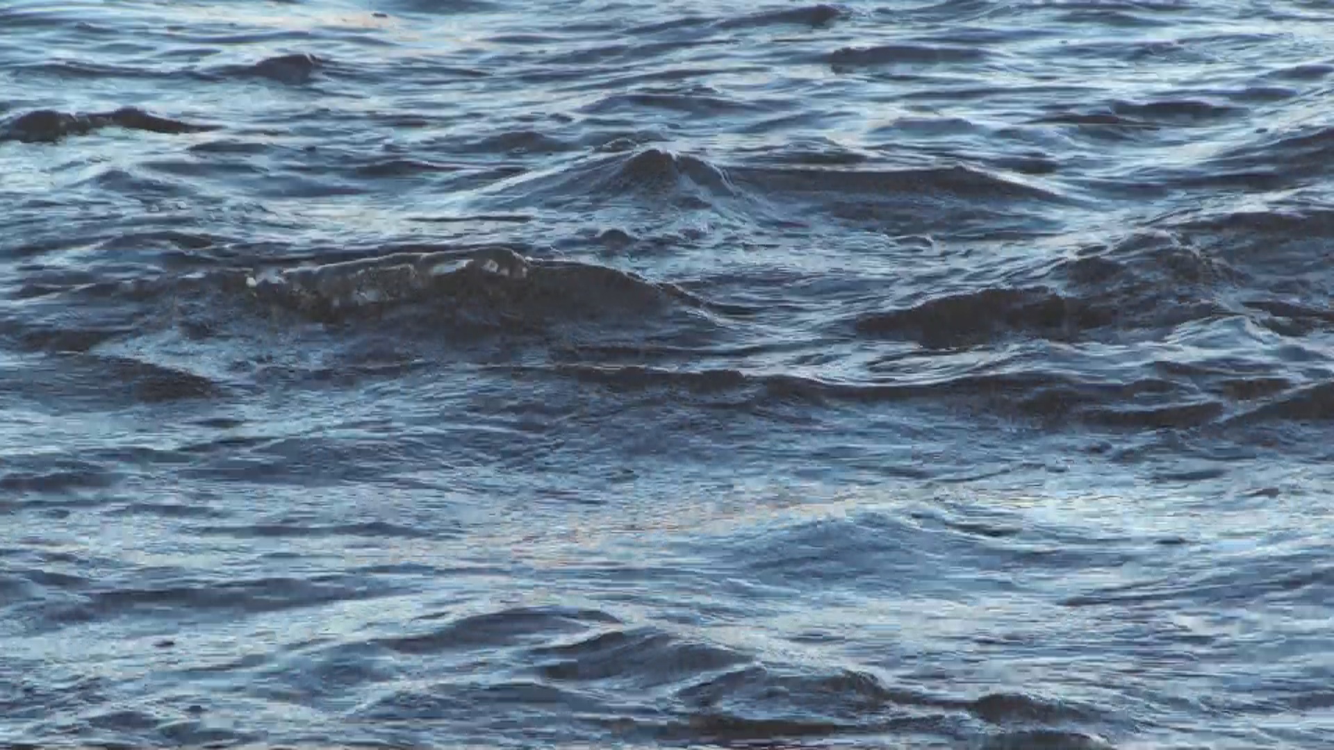 World Buddhism Association Headquarters Announcement No. 20190102: A Tremendously Holy Feat Manifested Yesterday at the Holy Heavenly Lake Where the Buddhist City Will Be Established-图片2